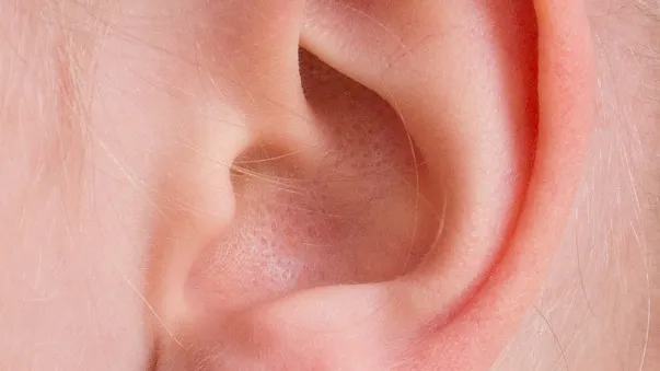Rubrik_Emissionen_-_Laerm-pixabay-ear-2372090_960_720